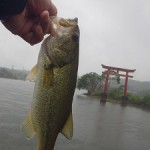 高滝湖&亀山湖
